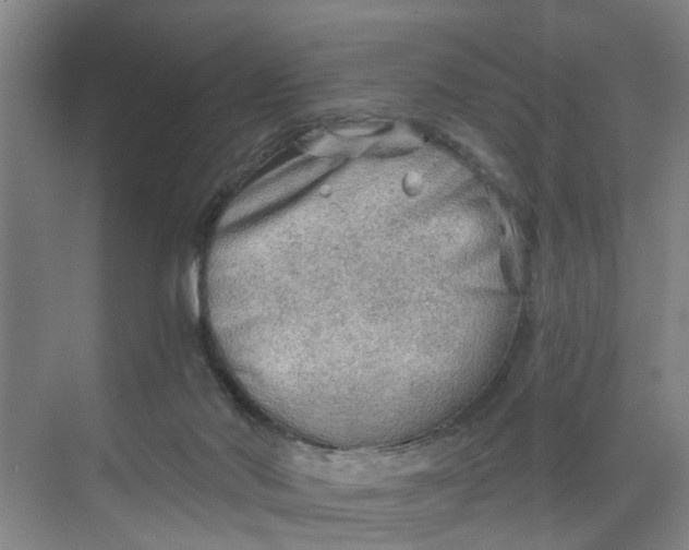 X0000068750022200605121621