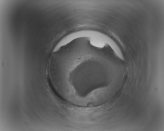 X0000068750023200605121621