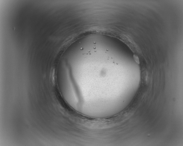 X0000068750024200605121621