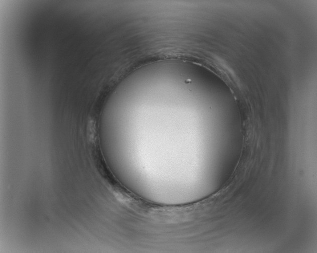 X0000068750025200605121621