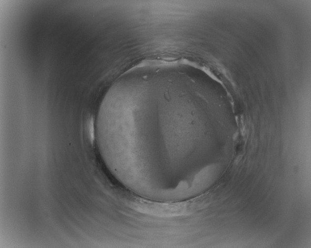 X0000068750027200605121621