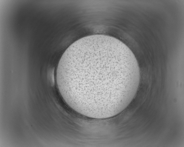 X0000068750028200605121621