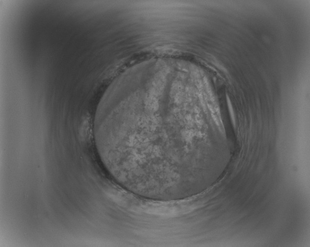 X0000068750029200605121621