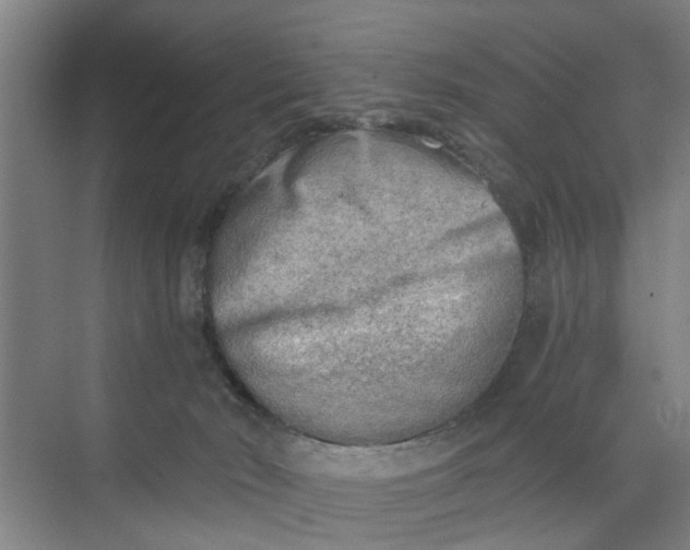 X0000068750030200605121621