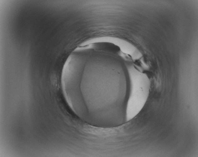 X0000068750031200605121621