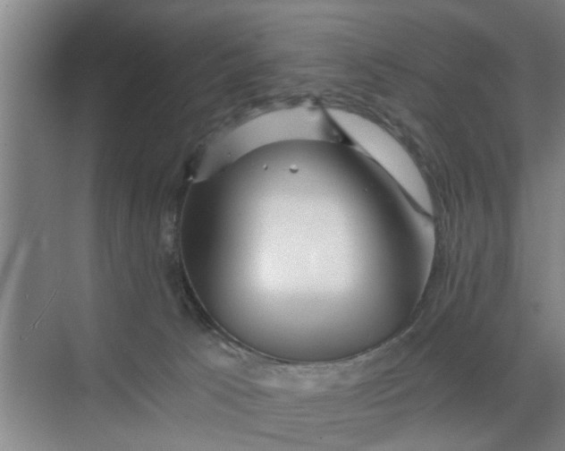 X0000068750033200605121621