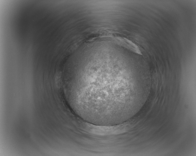 X0000068750034200605121621