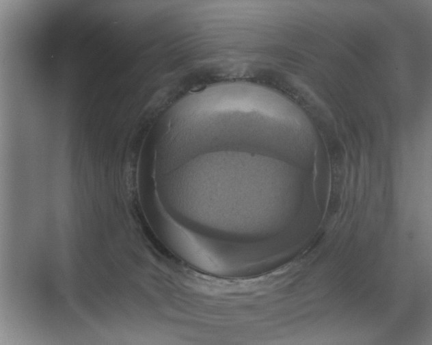 X0000068750035200605121621