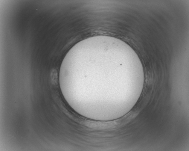 X0000068750036200605121621