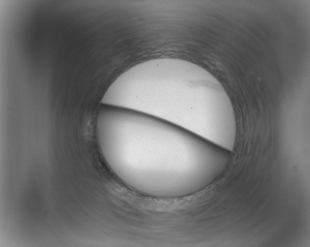 X0000068750037200605121621