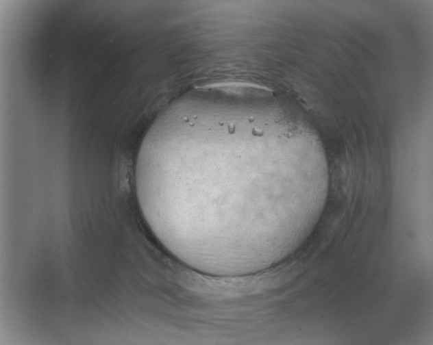 X0000068750038200605121621