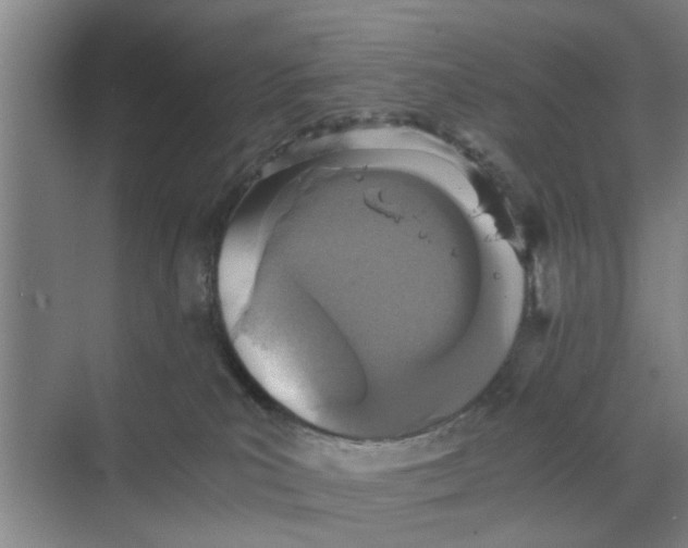 X0000068750039200605121621