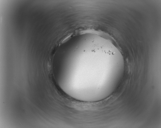 X0000068750040200605121621