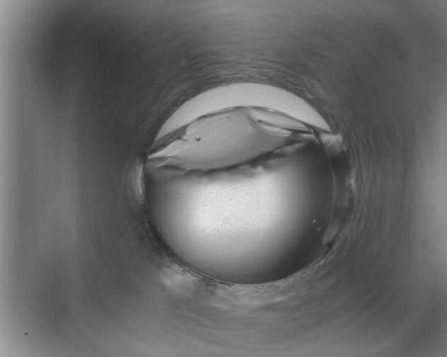 X0000068750041200605121621