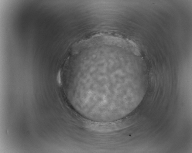 X0000068750042200605121621