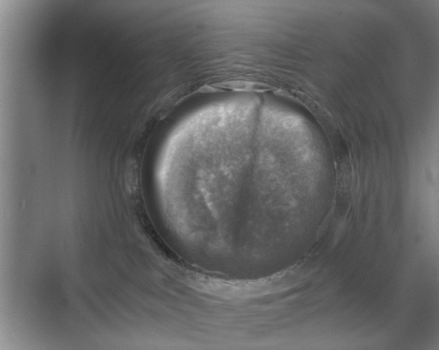 X0000068750043200605121621