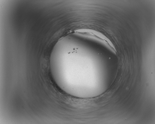 X0000068750044200605121621