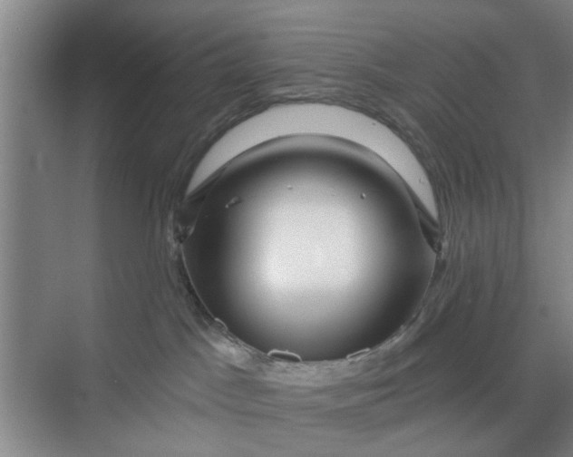 X0000068750045200605121621