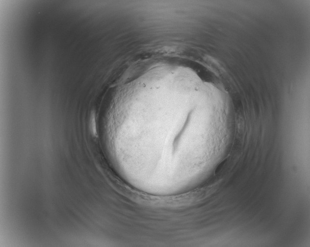 X0000068750046200605121621