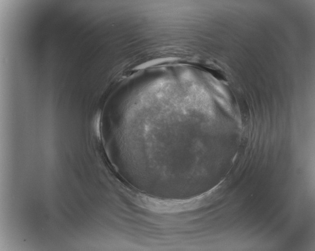 X0000068750047200605121621