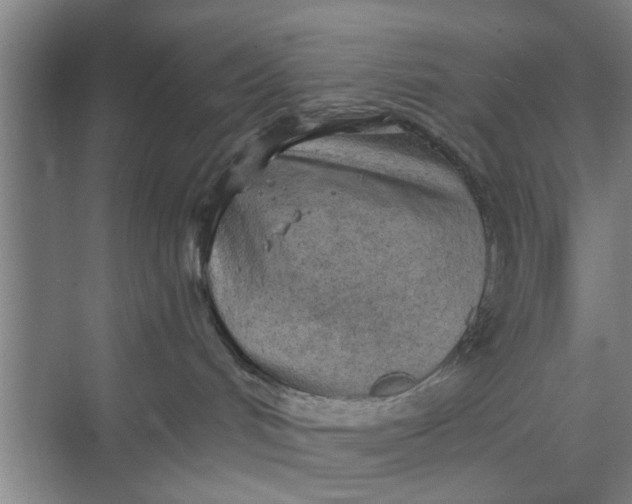 X0000068750048200605121621