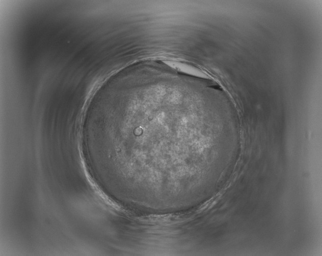 X0000068750049200605121620