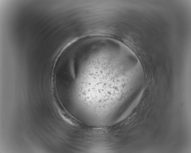 X0000068750050200605121620