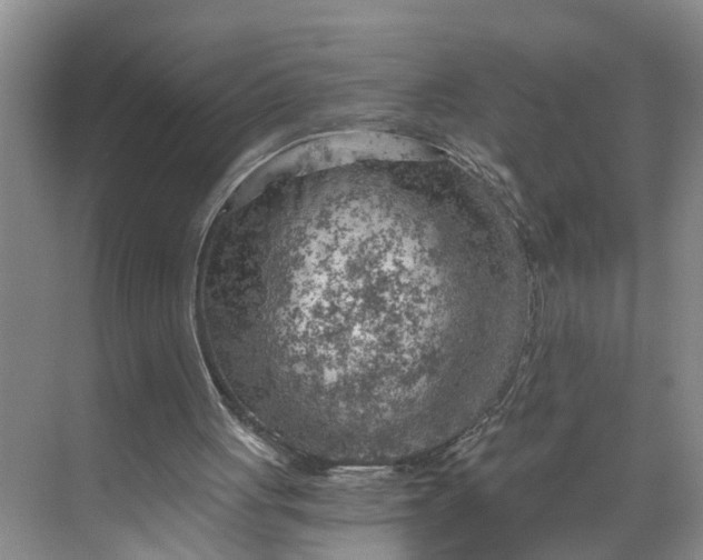 X0000068750051200605121620