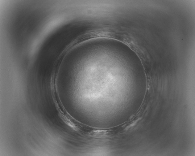 X0000068750052200605121620