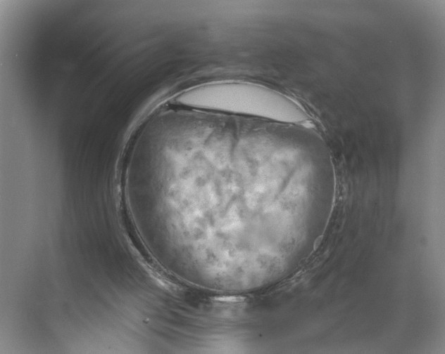 X0000068750053200605121620