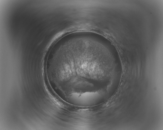 X0000068750054200605121620