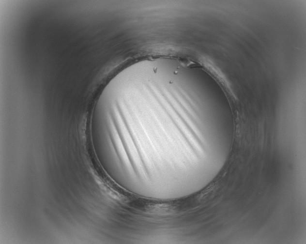 X0000068750058200605121620