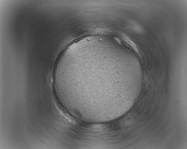 X0000068750059200605121620