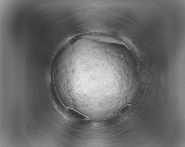 X0000068750060200605121620