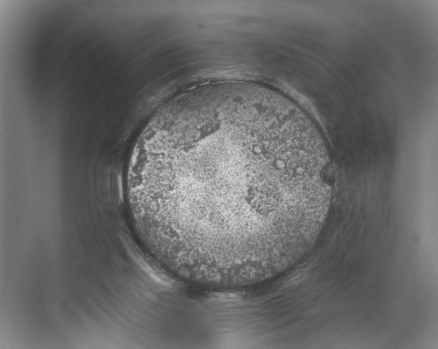 X0000068750061200605121620