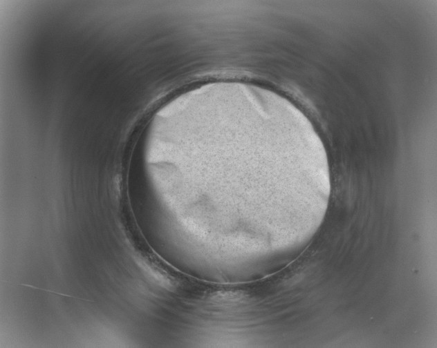 X0000068750063200605121620