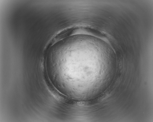 X0000068750064200605121620