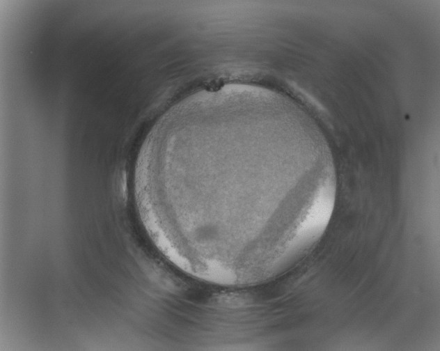 X0000068750067200605121620