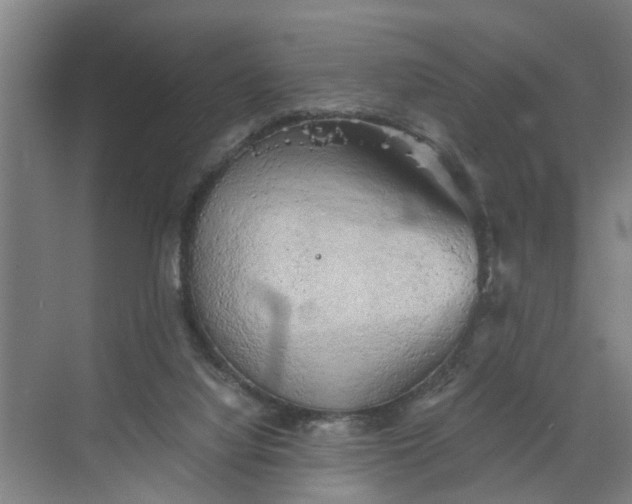 X0000068750068200605121620