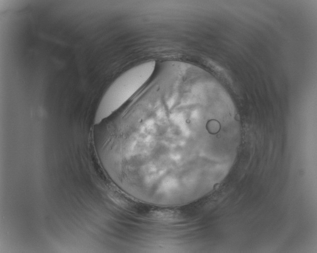 X0000068750069200605121621