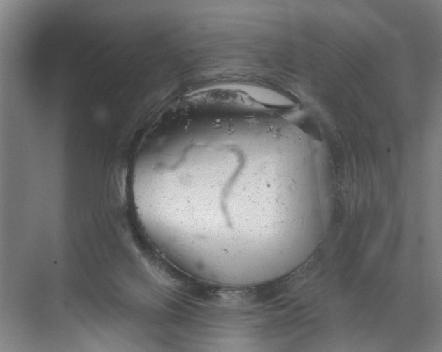 X0000068750070200605121621