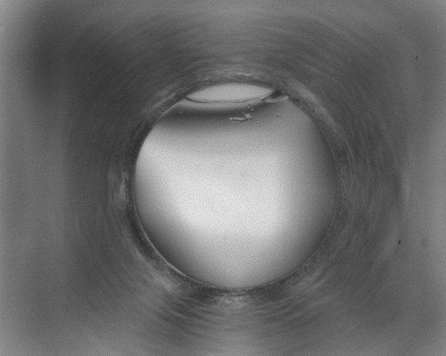 X0000068750071200605121621