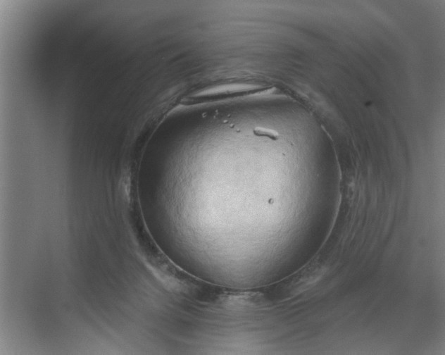 X0000068750072200605121621