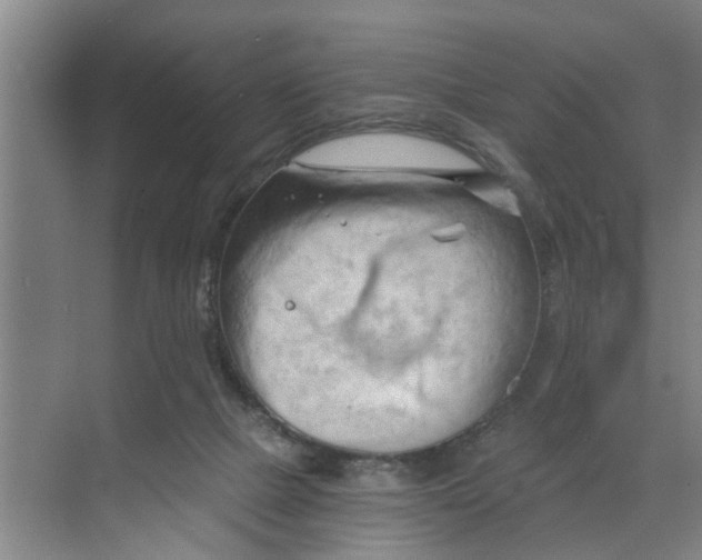 X0000068750073200605121621