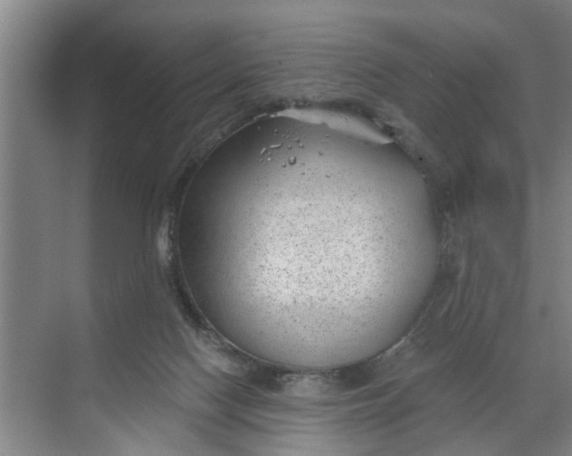 X0000068750074200605121621