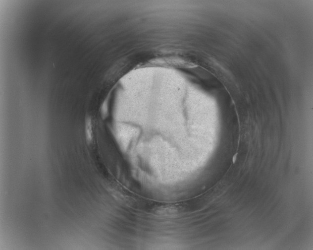 X0000068750075200605121621