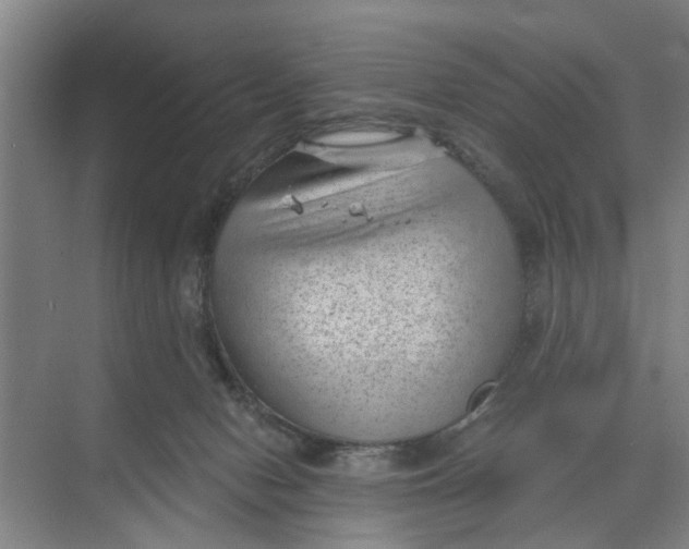 X0000068750078200605121621