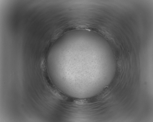 X0000068750079200605121621