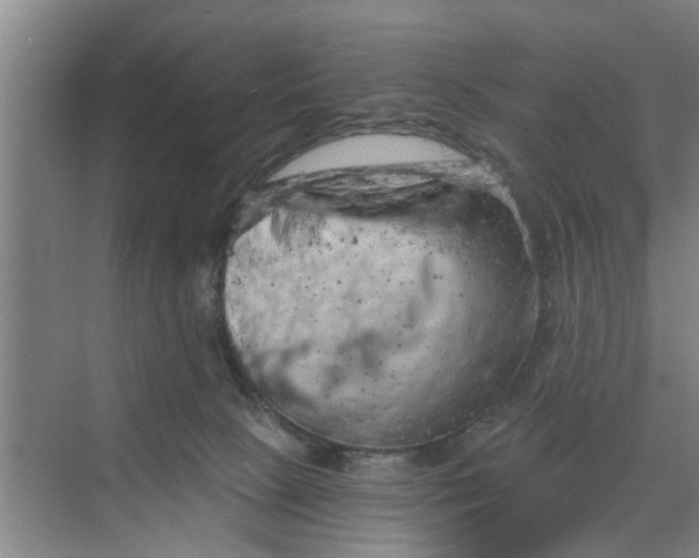 X0000068750081200605121621