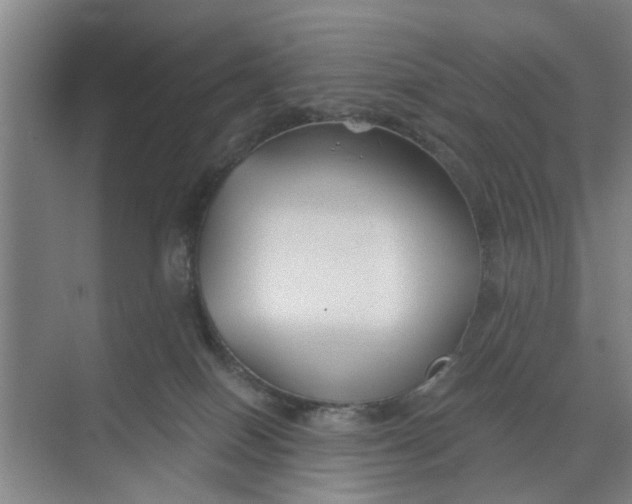 X0000068750086200605121621